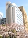 Innovation Center of NanoMedicine