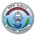 Wachemo University
