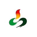 Shanxi Coal Transportation and Sales Group (China)