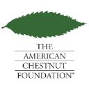 The American Chestnut Foundation
