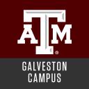 Texas A&M University at Galveston