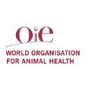 Organisation Mondiale de la Santé Animale