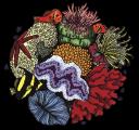 Coral Reef Research Foundation