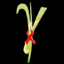 Centre International De Reference Chantal Biya