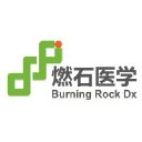 Burning Rock Biotech (China)