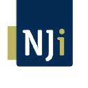 Netherlands Youth Institute