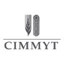 International Maize and Wheat Improvement Center