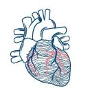 Leipzig Heart Institute