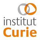 Dynamique de l'information génétique : bases fondamentales et cancer