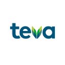 Teva Pharmaceuticals (Netherlands)