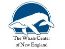 Whale Center of New England