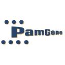 PamGene (Netherlands)