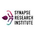 Synapse (Netherlands)