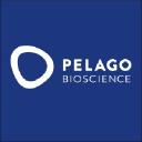 Pelago Bioscience (Sweden)