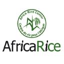 Africa Rice Center
