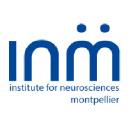 Institute for Neurosciences of Montpellier