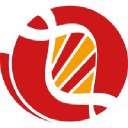 Heidelberg Institute for Stem Cell Technology and Experimental Medicine