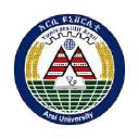 Arsi University