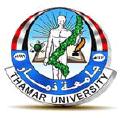 Thamar University