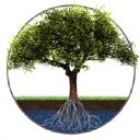 Applied Natural Sciences