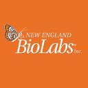 New England Biolabs (United States)