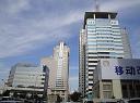 China Mobile (China)