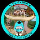 Jinka University