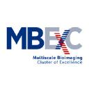 Multiscale Bioimaging